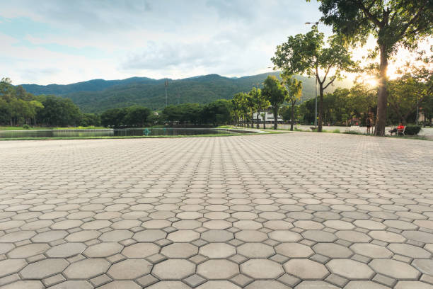 Best Custom Driveway Pavers  in Caledonia, MS
